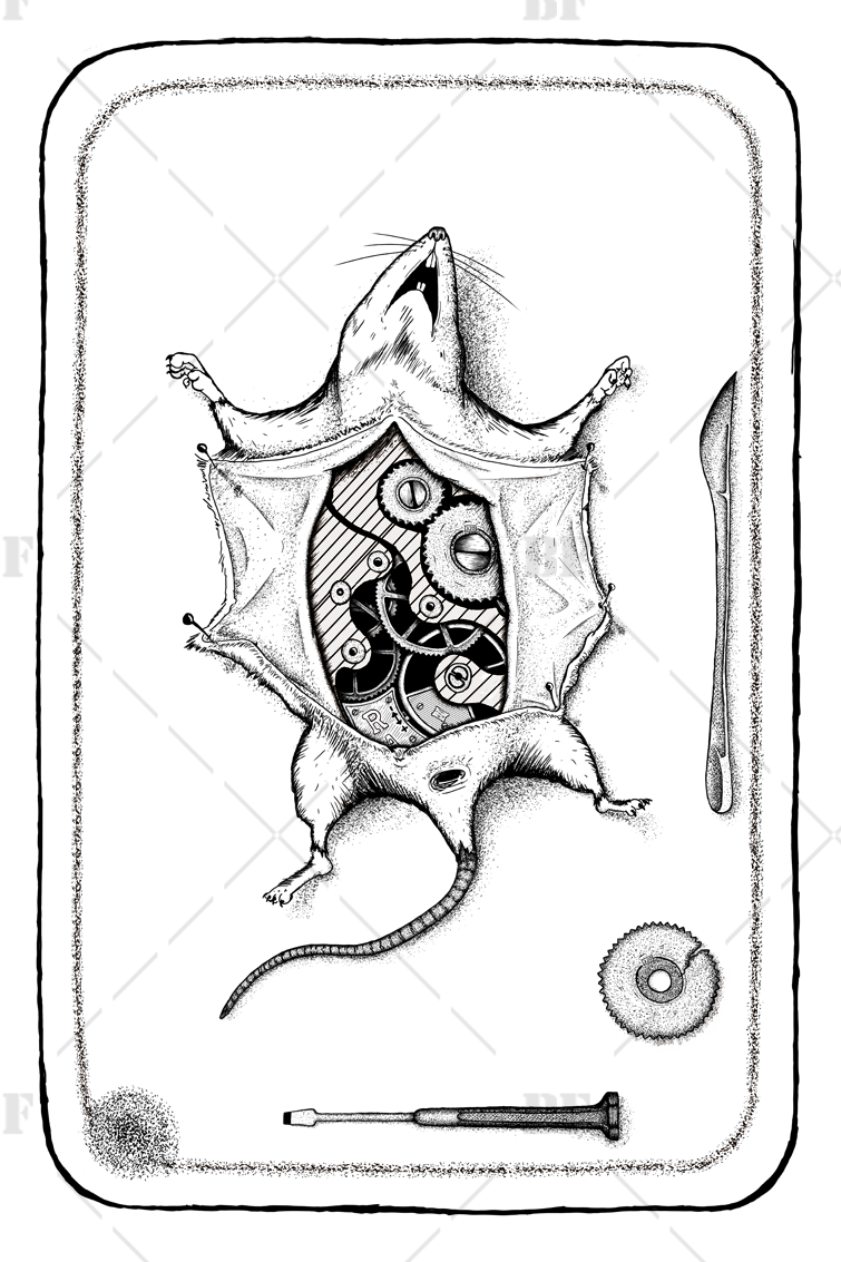 adrien-roldes-rat-copyright